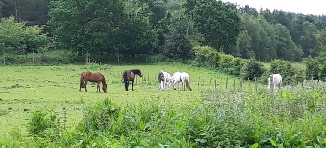 64D5CC01-C4B0-4E0A-8C48-70D4CF6D91B1